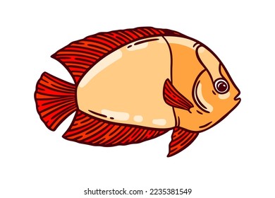 Colorful bright red and orange fish, hand drawn vector illustration. Restaurant sea food menu graphic item isolated over white.