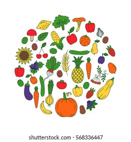 Colorful bright vegetables fruits berries mushrooms in circle doodles set