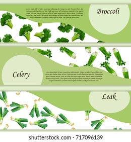 Colorful broccoli, celery and leak label or banner in sketch style. natural product closeup on background. symbol for sauce product label or grocery store, shop and farm market design.