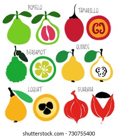 Colorful brush grunge exotic fruits icons set: pomelo, tamarillo, bergamot, quince, loquat and guarana.