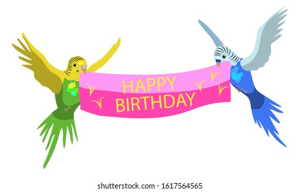 Colorful budgie birds, celebration of Birthday