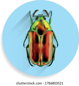 Colorful bug with shadow on blue circle background