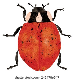 Colorful  bug watercolor painting, beetle ,illustration