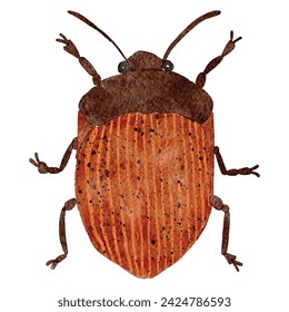 Colorful  bug watercolor painting, beetle ,illustration