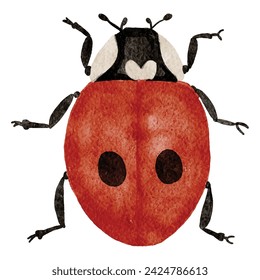 Colorful  bug watercolor painting, beetle ,illustration