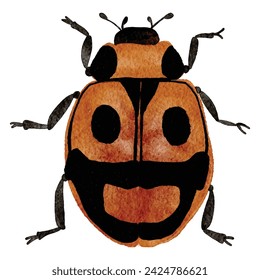 Colorful  bug watercolor painting, beetle ,illustration