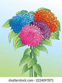 Colorful Bunch of Dahlia flowers isolated on light blue background in vector illustration