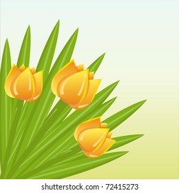 colorful bunch of tulips background