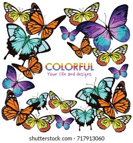 Colorful butterfles Vector