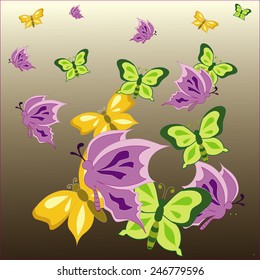 colorful butterflies