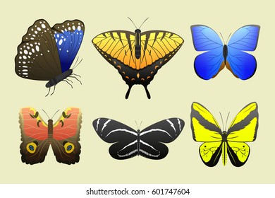 Colorful butterflies with abstract decorative pattern summer free fly present silhouette and beauty nature spring insect decoration. vector illustration.