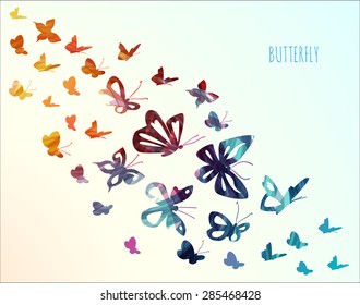 Colorful butterflies background design. Vector illustration