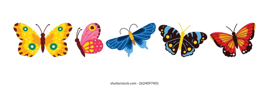 Colorful Butterflies, A Diverse Collection of Whimsical Winged Insects
