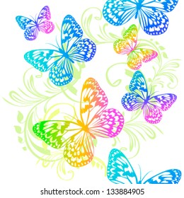 Colorful butterflies flying