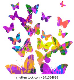 Colorful butterflies flying