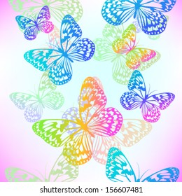 Colorful butterflies flying 