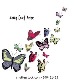 Colorful butterflies flying. Vector illustration on white background with place for your text