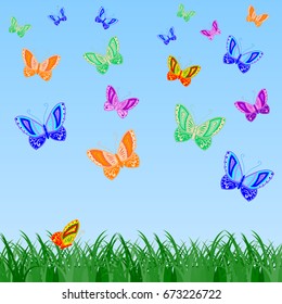 Colorful butterflies and grass vector pattern. Vector illustration.