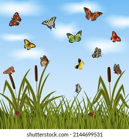 Colorful Butterflies Green Grassreeds Green Grass Stock Vector (royalty 