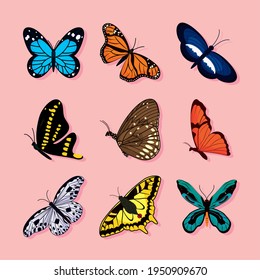 colorful butterflies icon set design
