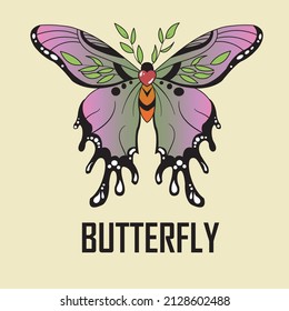 Colorful butterflies, butterflies isolated on a white background. blue, yellow, pink and red butterfly spring illustration.