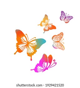 Colorful butterflies. Mixed media. Vector illustration