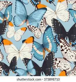 Colorful butterflies seamless
