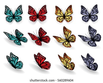   colorful butterflies set isolated on white