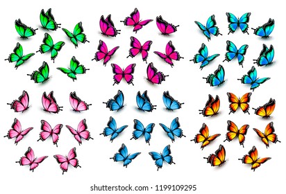 Coloridas mariposas. Vector.