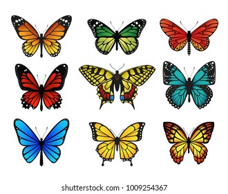 Colorful butterflies set. Vector illustration