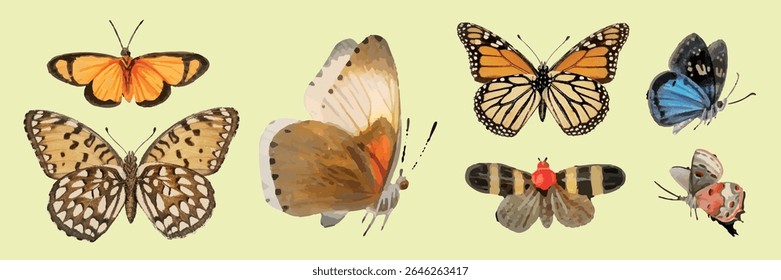 Colorful butterflies in various sizes and patterns. Butterflies with orange, blue, and brown wings. Detailed butterfly illustrations on a light background. Isolated animal vector set.