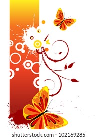 colorful butterflies - vector