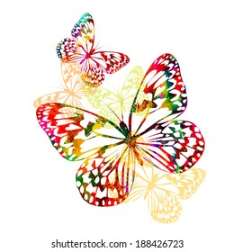 colorful butterflies . Vector