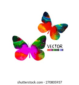 colorful butterflies . Vector
