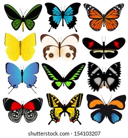 Colorful Butterflies Vector Collection