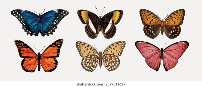 Colorful butterflies in vibrant hues. Butterflies with diverse patterns. Butterflies showcase nature's beauty with intricate designs. Aesthetic illustration vector set.