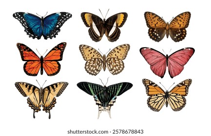 Colorful butterflies with vibrant wings. Butterflies in various hues. Diverse butterfly patterns showcase stunning butterfly beauty. Aesthetic illustration vector set.