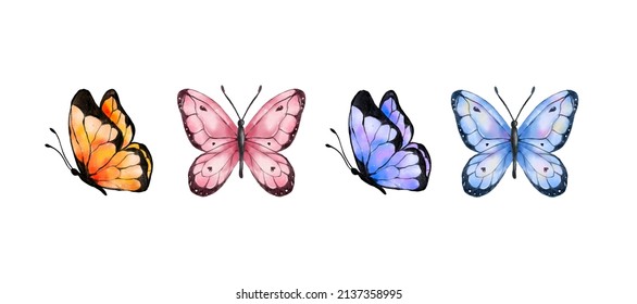 Mariposas coloridas acuarela aislada en un fondo blanco. Mariposa azul, naranja, violeta y rosa. Ilustración vectorial de primavera