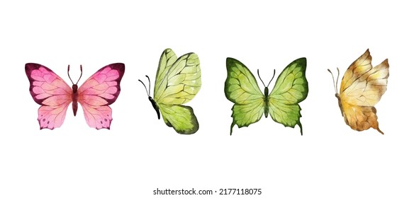 Colorful butterflies watercolor isolated on white background. Pink, green, brown, yellow butterfly. Spring animal vector illustration