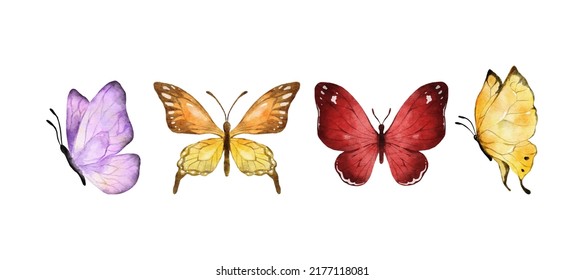 Pintura digital Las mariposas coloridas acuarela aisladas en fondo blanco. Mariposa morada, naranja, amarilla y roja. Ilustración vectorial de primavera