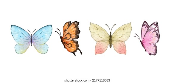 Pintura digital Las mariposas coloridas acuarela aisladas en fondo blanco. Mariposa azul, naranja, amarilla y rosa. Ilustración vectorial de primavera