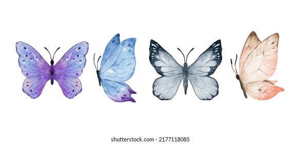Colorful butterflies watercolor isolated on white background. Purple, blue, gray or silver and cream pink butterfly. Spring animal vector illustration
