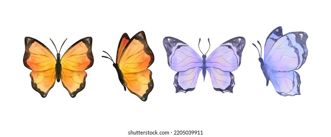 Mariposas coloridas acuarela aislada