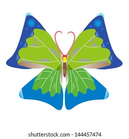 colorful butterfly