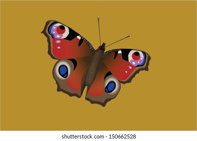 Colorful Butterfly