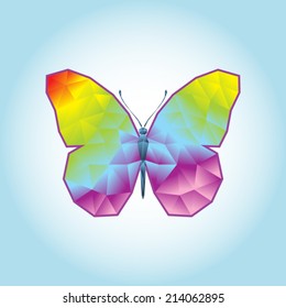 Colorful butterfly