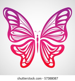 Colorful Butterfly