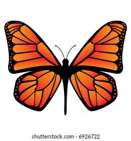Colorful butterfly.