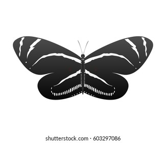 Colorful butterfly with abstract decorative pattern summer free fly present silhouette and beauty nature spring insect decoration. vector illustration.