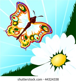 A colorful butterfly alights on a flower, vector